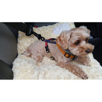 Pet Car Safety Buckle Car Accessories Holder