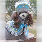 Christmas Pet Clothes Funny   Pet Clothing Apparel