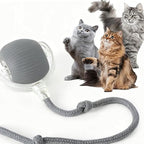 Cat Interactive Ball Toys Automatic Rolling Ball For Kitten Rechargeable Smart Pet Electric Toys With Teaser Sensor Cat Ball Toy