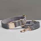 Mint Green Dog Collar Leash