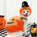 Halloween Pumpkin Vest For Dogs Cats Festive Pet Costume Harness Funny Thanksgiving Christmas Apparel For Small Animals Clothing