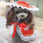 Christmas Pet Clothes Funny   Pet Clothing Apparel