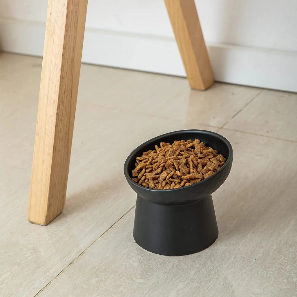 Ceramic Raised Tilted Cat Bowls Set of 2, Elevated Porcelain Feeder