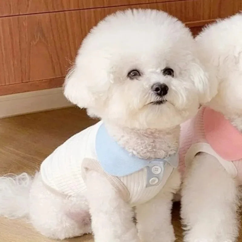 Summer Clothes for Dogs Puppy Shirt Blouse Spring Pets Clothing Dog Doggy Pet Shirts Apparel Supplies