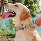 Durable Nylon Dog Collar with Reflective Leash Set