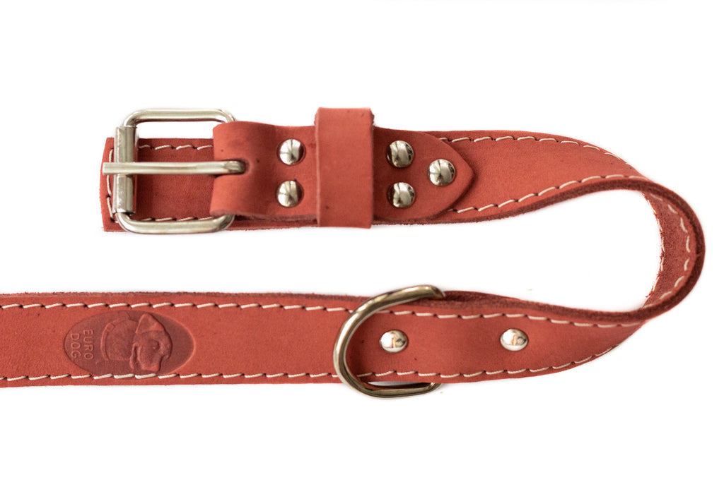 Pro Line Hunting Leather Collar and Leash Set