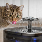 Stainless Steel Cat Automatic Water Feeder