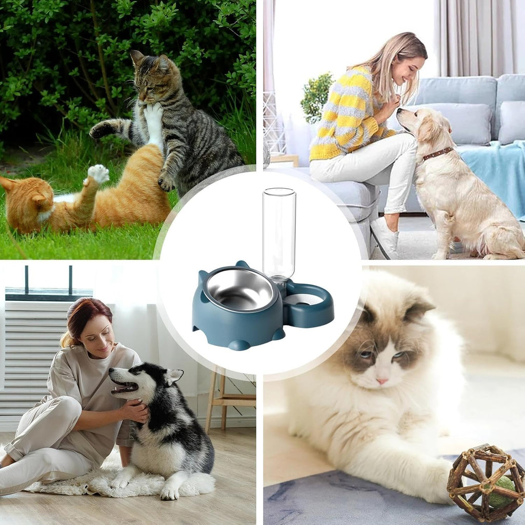 Cat Food And Water Bowl Set - 16 Degree Tilted Dog Dish With Water Dispenser Removable Pet Feeder Bowl Dog Drinking And Eating Bowl Detachable Pet Feeder Bowl For Cats And Dogs