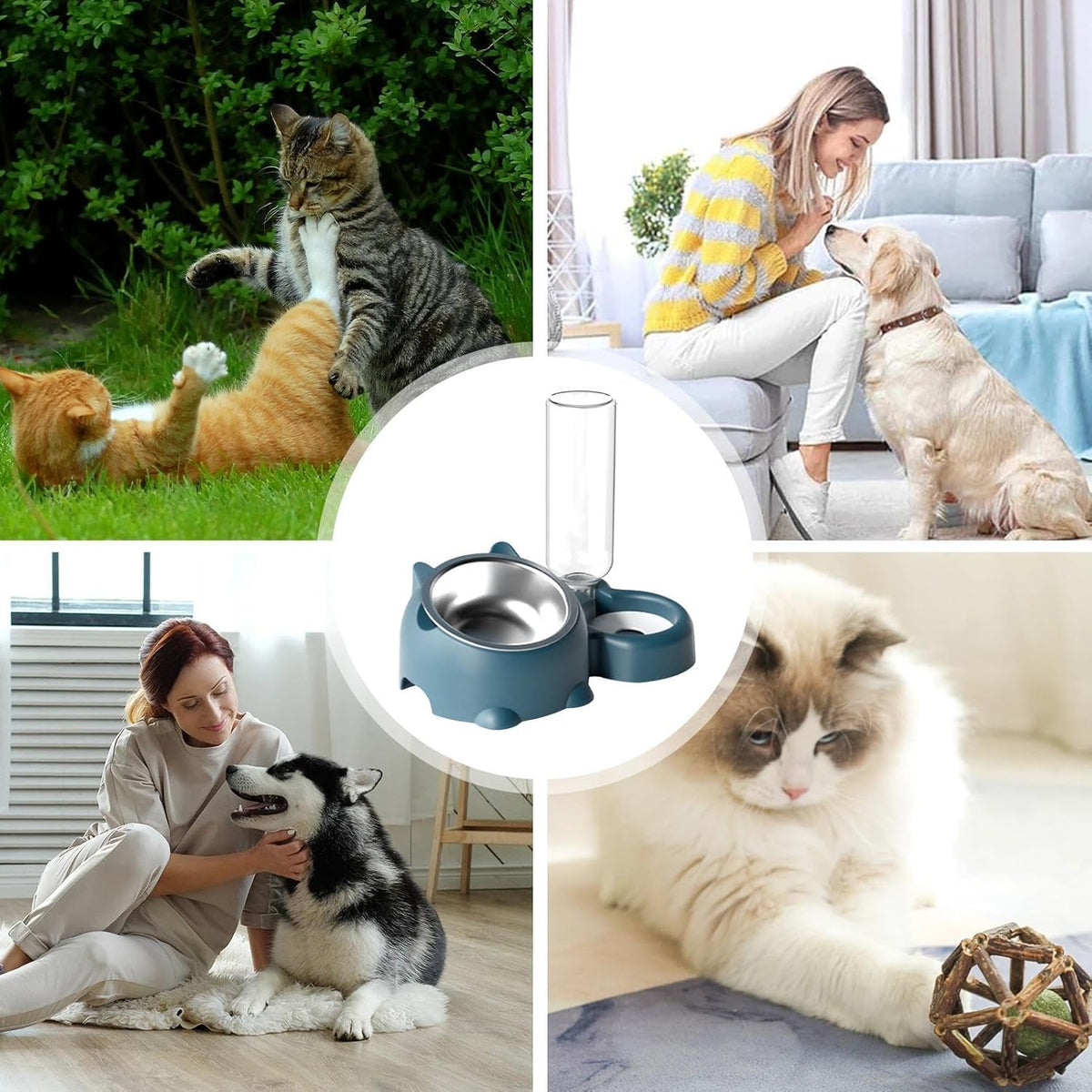 Cat Food And Water Bowl Set - 16 Degree Tilted Dog Dish With Water Dispenser Removable Pet Feeder Bowl Dog Drinking And Eating Bowl Detachable Pet Feeder Bowl For Cats And Dogs