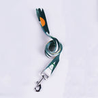 Hand Holding Rope Outing Dog Leash Dog Collar Three-piece Set