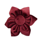 Red Wine Velvet Set