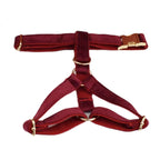 Red Wine Velvet Set
